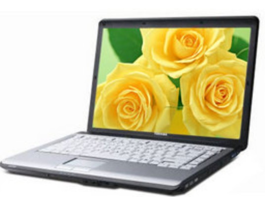 东芝 L315