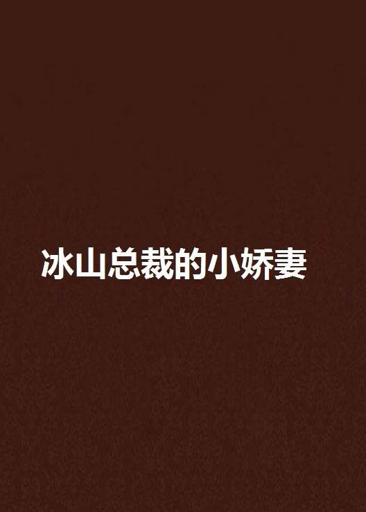 冰山总裁的小娇妻