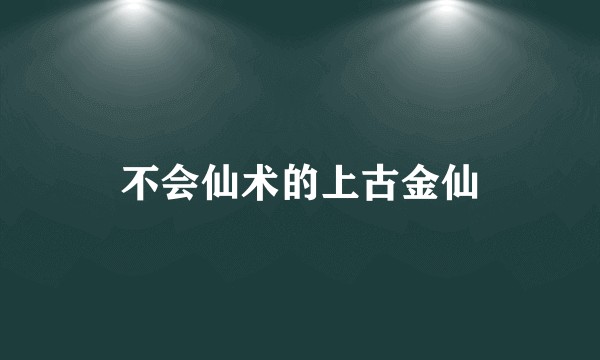 不会仙术的上古金仙