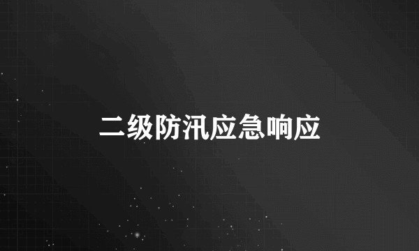 二级防汛应急响应
