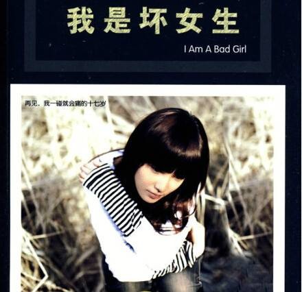 我是坏女生（郑宝瑞导演电视剧）