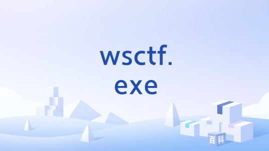 wsctf.exe