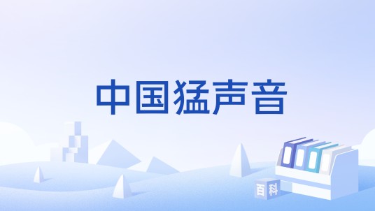 中国猛声音