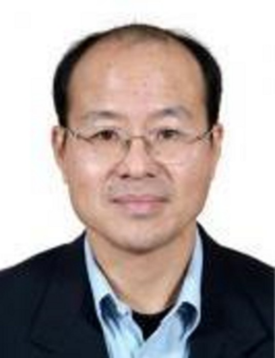 蔡杰（武汉大学法学院教授）