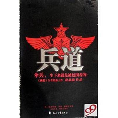 兵道（2007花山文艺出版社出版的图书）