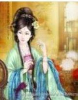 大后宫（架空历史类网络小说）