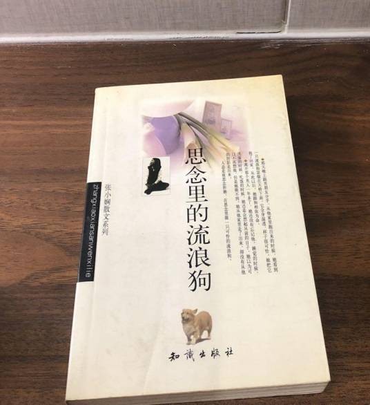 思念里的流浪狗（2000年知识出版社出版的图书）