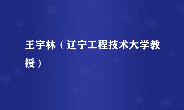 王宇林（辽宁工程技术大学教授）