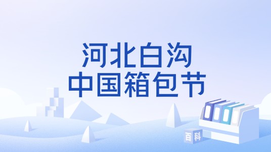 河北白沟中国箱包节