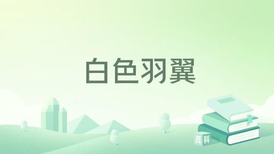 白色羽翼（东方科幻小说《吞噬星空》中的至强至宝）