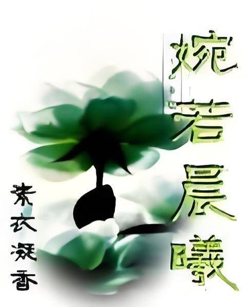 婉若晨曦