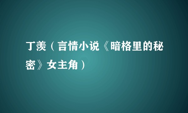 丁羡（言情小说《暗格里的秘密》女主角）