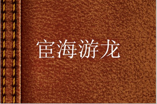 宦海游龙