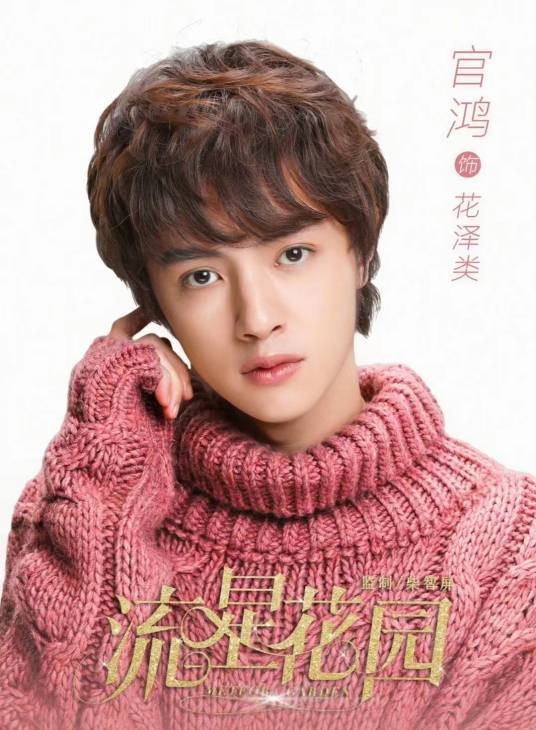 花泽类（言情青春偶像剧《流星花园》中的角色）