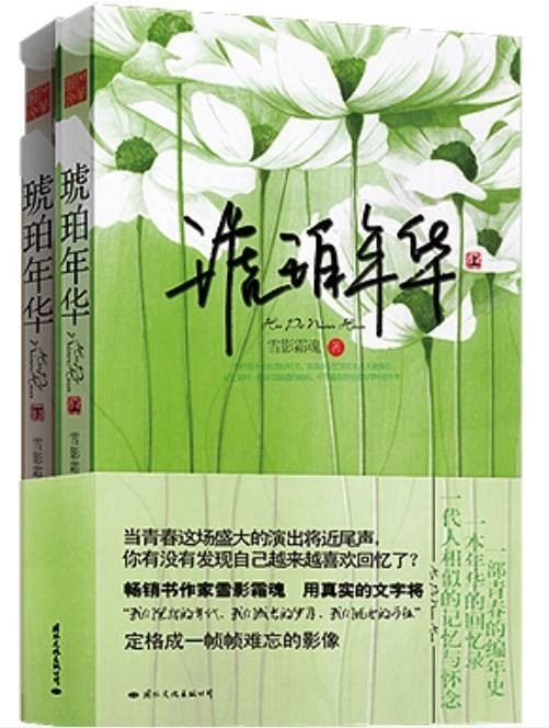琥珀年华（2011年国际文化出版公司出版的图书）
