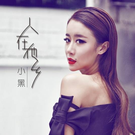 人在他乡（小黑演唱的歌曲）