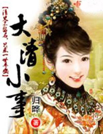 大清小事（归晔创作的网络小说作品）