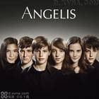 angelis（安杰利斯组合）