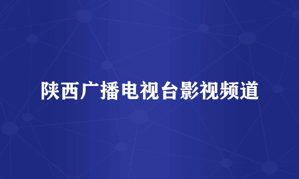 陕西广播电视台影视频道