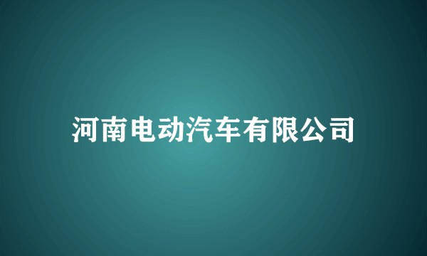 河南电动汽车有限公司