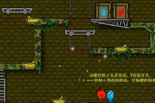森林冰火人4双人版