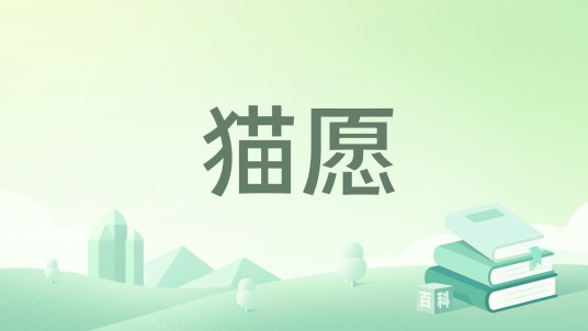猫愿