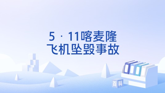 5·11喀麦隆飞机坠毁事故