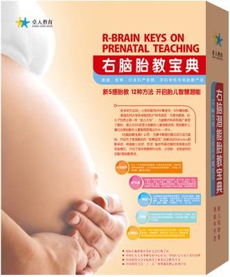 胎教宝典（广东音像出版社出版的图书）