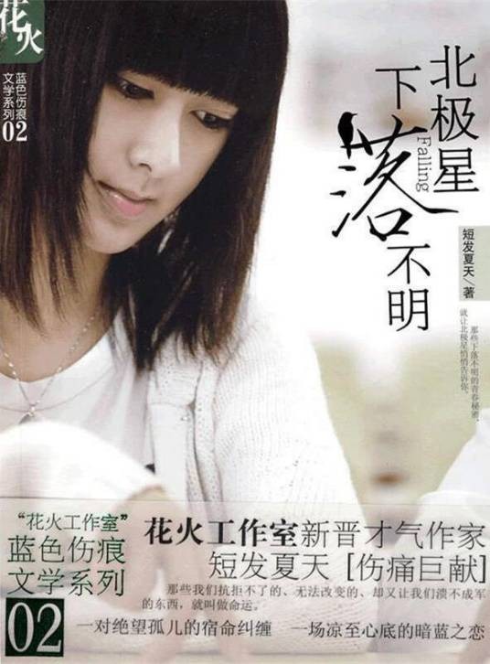 北极星下落不明（2009年春风文艺出版社出版图书）