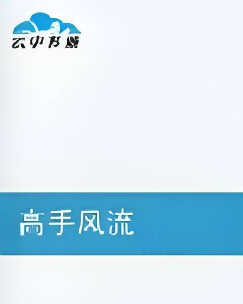 高手风流