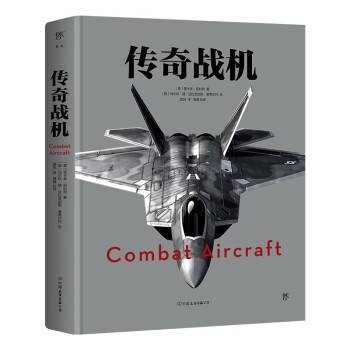 传奇战机(2022年中国友谊出版公司出版的图书)
