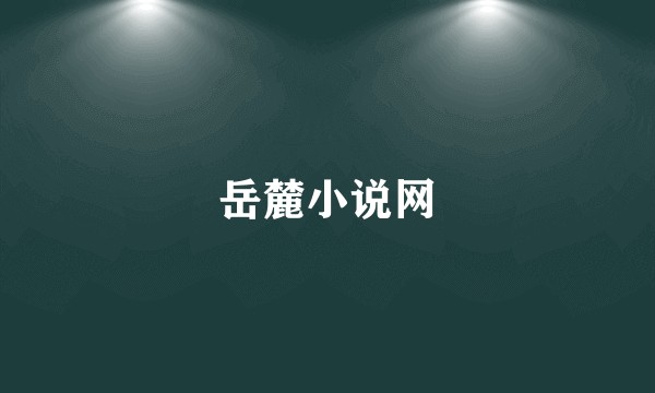 岳麓小说网