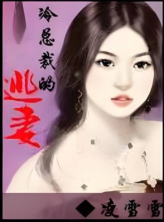 冷总裁的逃妻