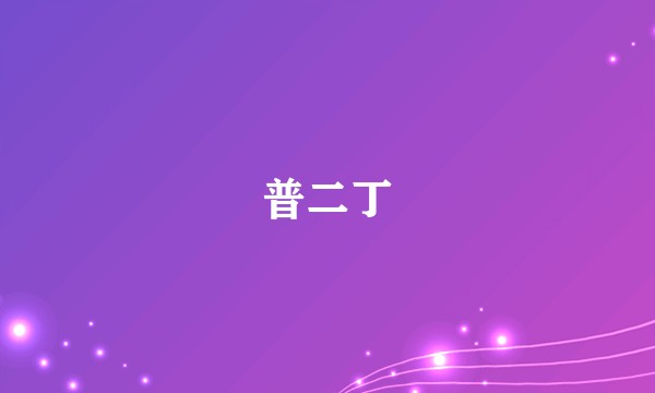 普二丁