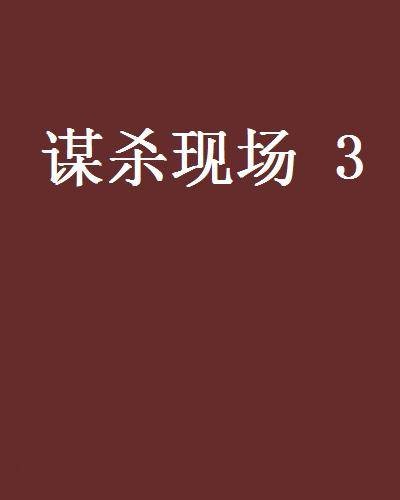 谋杀现场 3