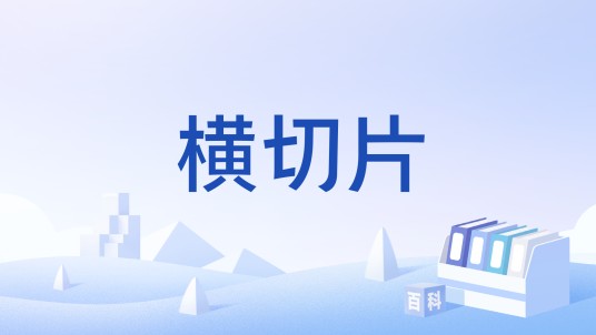 横切片