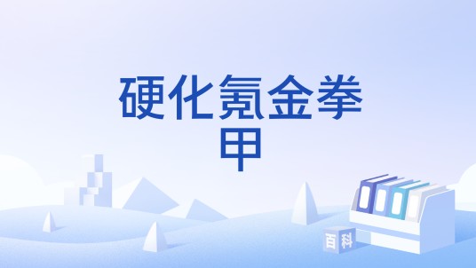 硬化氪金拳甲