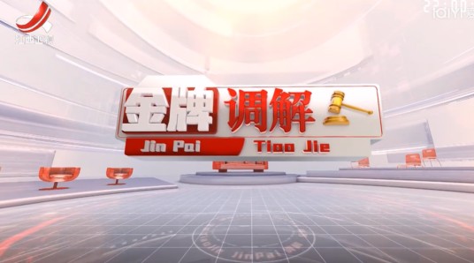 2014年金牌调解节目列表