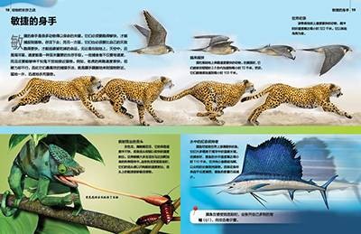 探索科学百科