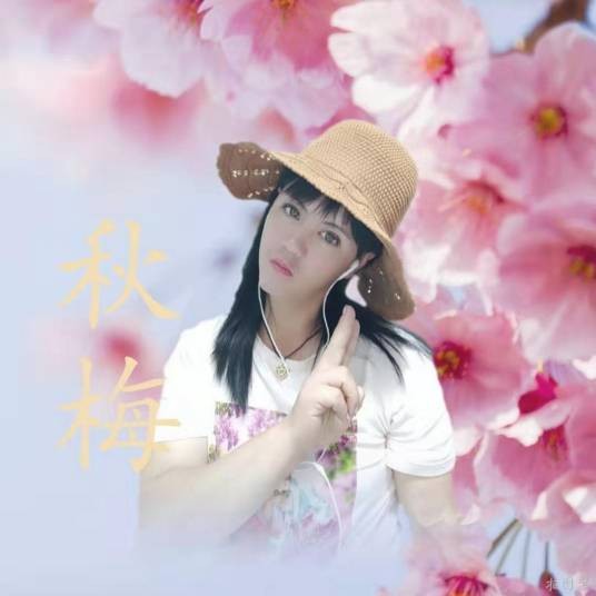 秋梅（铁木冰冰演唱的歌曲）