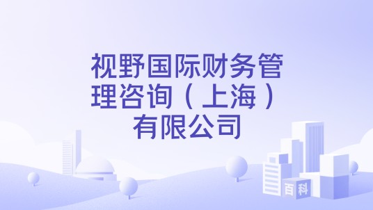 视野国际财务管理咨询(上海)有限公司