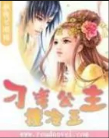 刁蛮公主撞冷王