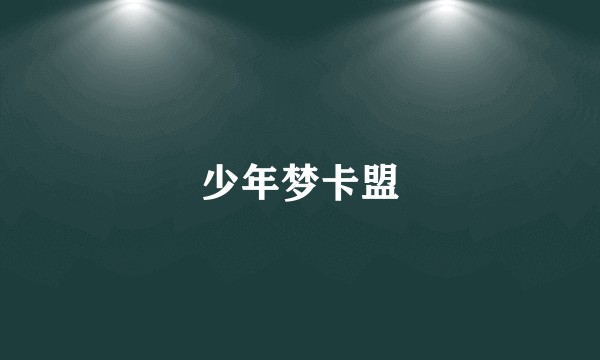 少年梦卡盟