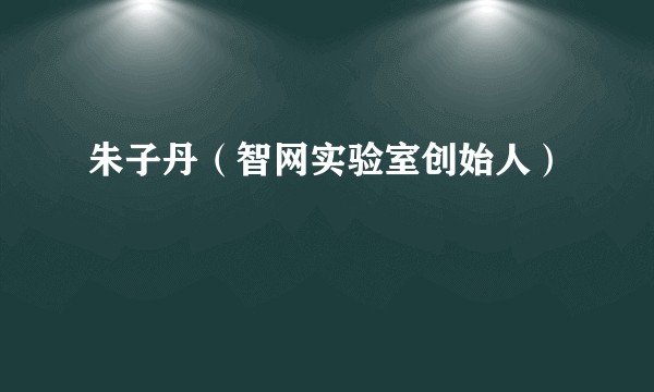朱子丹（智网实验室创始人）
