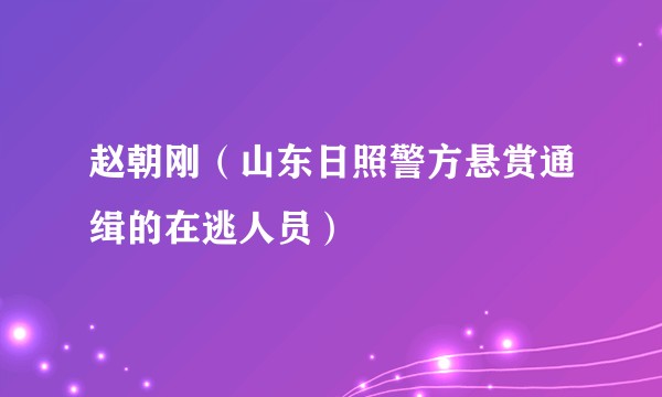 赵朝刚（山东日照警方悬赏通缉的在逃人员）