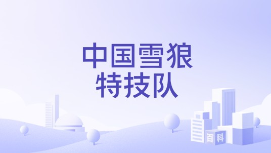 中国雪狼特技队
