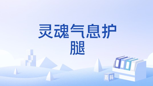 灵魂气息护腿