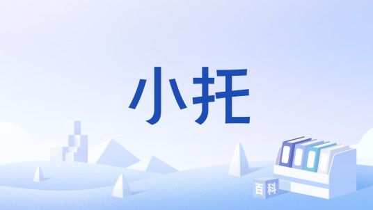 小托（书画装裱术语）