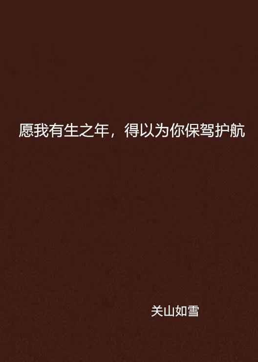 愿我有生之年，得以为你保驾护航