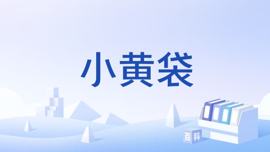 小黄袋